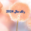 اعلام رنگ Peach Fuzz به عنوان رنگ سال 2024 توسط Pantone